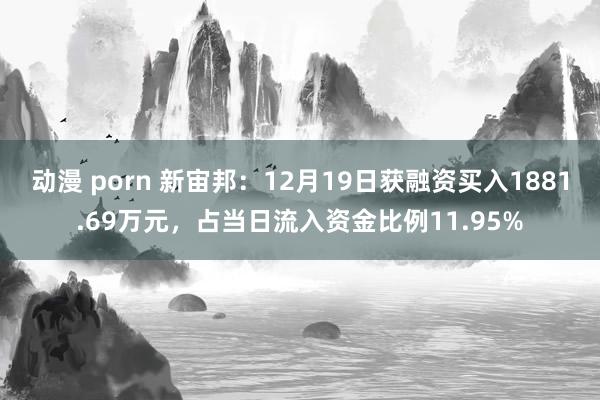 动漫 porn 新宙邦：12月19日获融资买入1881.69万元，占当日流入资金比例11.95%