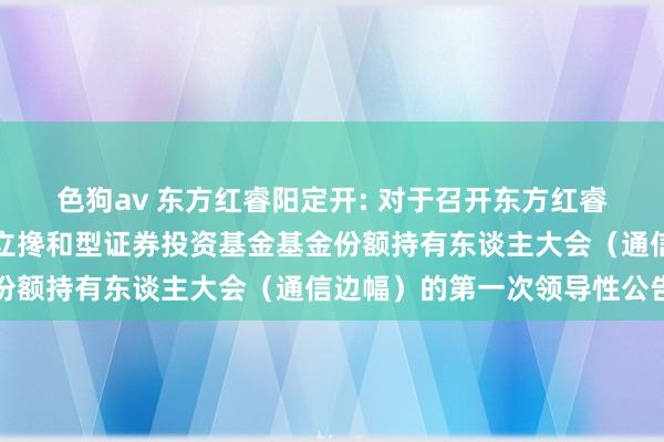 色狗av 东方红睿阳定开: 对于召开东方红睿阳三年按时绽放纯真树立搀和型证券投资基金基金份额持有东谈主大会（通信边幅）的第一次领导性公告