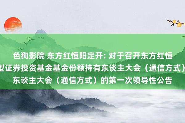 色狗影院 东方红恒阳定开: 对于召开东方红恒阳五年依期敞开搀杂型证券投资基金基金份额持有东谈主大会（通信方式）的第一次领导性公告