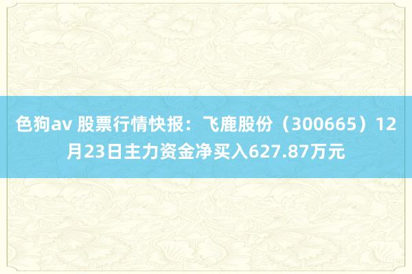 色狗av 股票行情快报：飞鹿股份（300665）12月23日主力资金净买入627.87万元