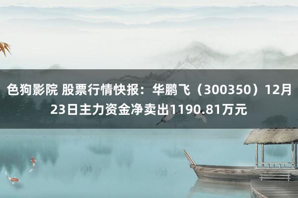 色狗影院 股票行情快报：华鹏飞（300350）12月23日主力资金净卖出1190.81万元