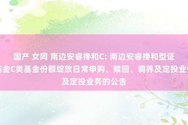 国产 女同 南边安睿搀和C: 南边安睿搀和型证券投资基金C类基金份额绽放日常申购、赎回、调养及定投业务的公告