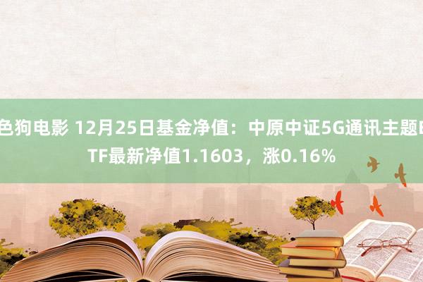 色狗电影 12月25日基金净值：中原中证5G通讯主题ETF最新净值1.1603，涨0.16%