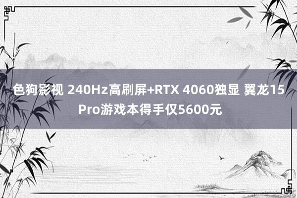 色狗影视 240Hz高刷屏+RTX 4060独显 翼龙15 Pro游戏本得手仅5600元