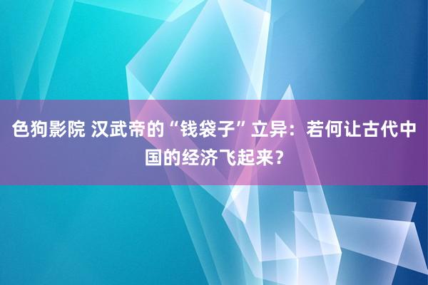 色狗影院 汉武帝的“钱袋子”立异：若何让古代中国的经济飞起来？