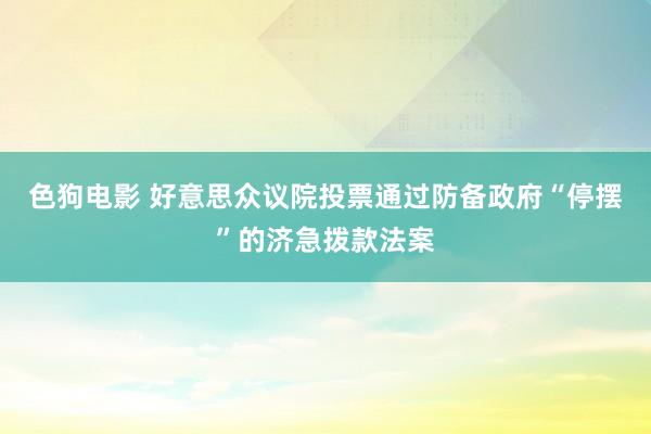 色狗电影 好意思众议院投票通过防备政府“停摆”的济急拨款法案