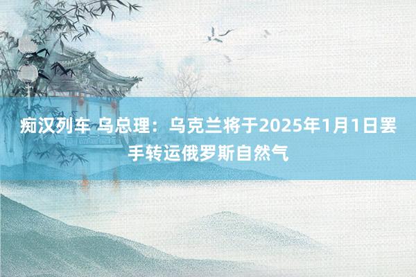 痴汉列车 乌总理：乌克兰将于2025年1月1日罢手转运俄罗斯自然气