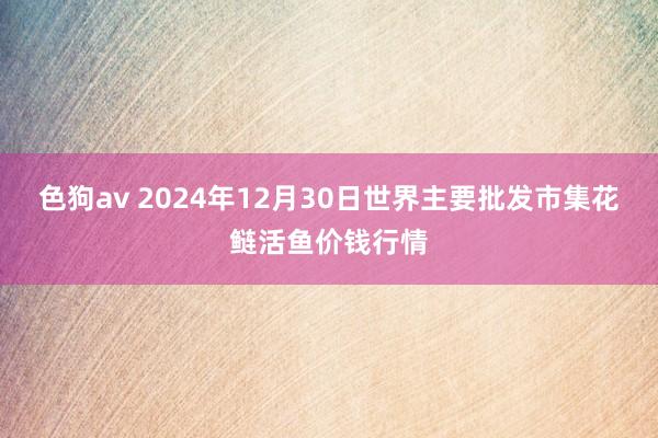 色狗av 2024年12月30日世界主要批发市集花鲢活鱼价钱行情