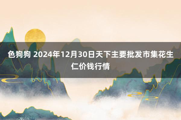 色狗狗 2024年12月30日天下主要批发市集花生仁价钱行情