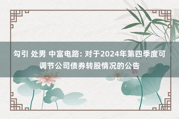 勾引 处男 中富电路: 对于2024年第四季度可调节公司债券转股情况的公告