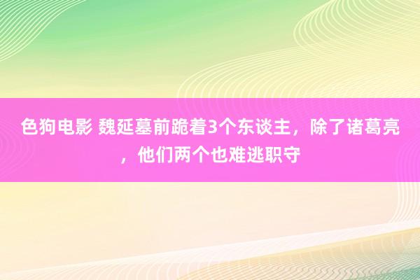 色狗电影 魏延墓前跪着3个东谈主，除了诸葛亮，他们两个也难逃职守