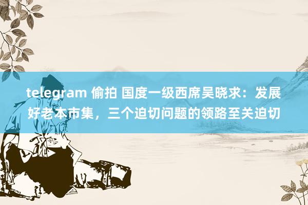 telegram 偷拍 国度一级西席吴晓求：发展好老本市集，三个迫切问题的领路至关迫切