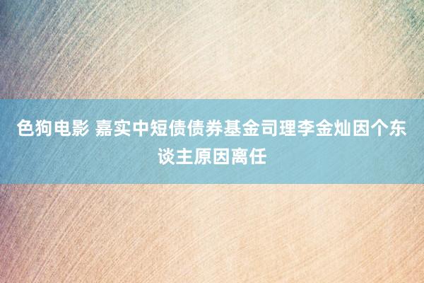 色狗电影 嘉实中短债债券基金司理李金灿因个东谈主原因离任