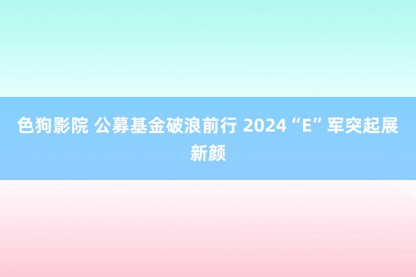 色狗影院 公募基金破浪前行 2024“E”军突起展新颜