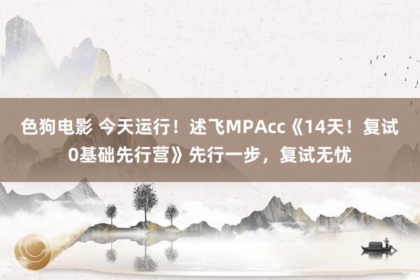 色狗电影 今天运行！述飞MPAcc《14天！复试0基础先行营》先行一步，复试无忧