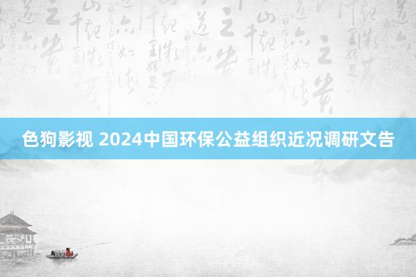 色狗影视 2024中国环保公益组织近况调研文告