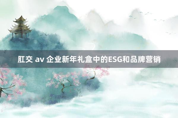 肛交 av 企业新年礼盒中的ESG和品牌营销