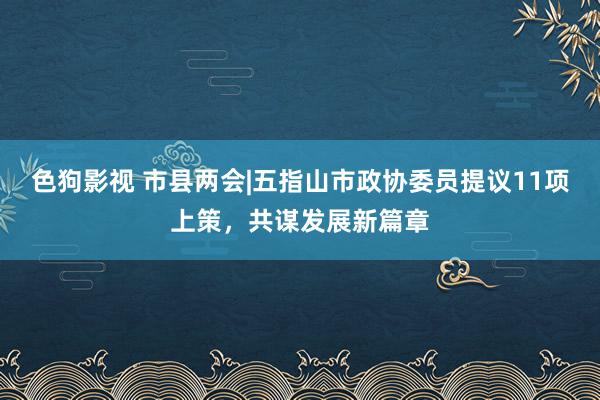 色狗影视 市县两会|五指山市政协委员提议11项上策，共谋发展新篇章