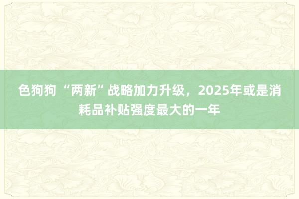 色狗狗 “两新”战略加力升级，2025年或是消耗品补贴强度最大的一年