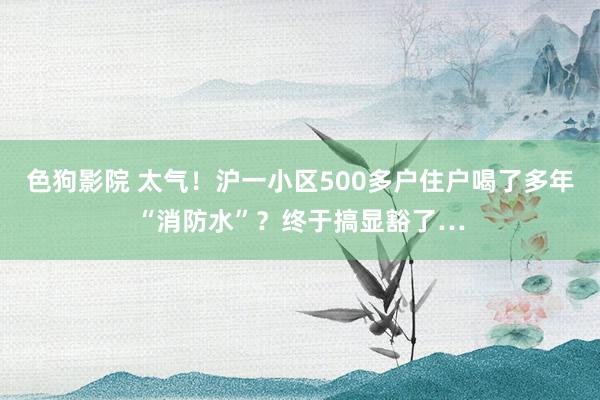 色狗影院 太气！沪一小区500多户住户喝了多年“消防水”？终于搞显豁了…