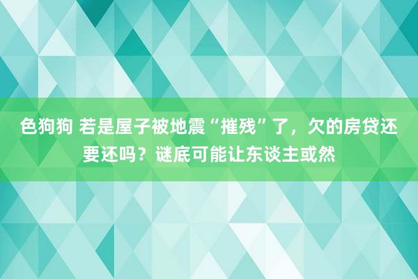 色狗狗 若是屋子被地震“摧残”了，欠的房贷还要还吗？谜底可能让东谈主或然