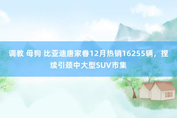 调教 母狗 比亚迪唐家眷12月热销16255辆，捏续引颈中大型SUV市集