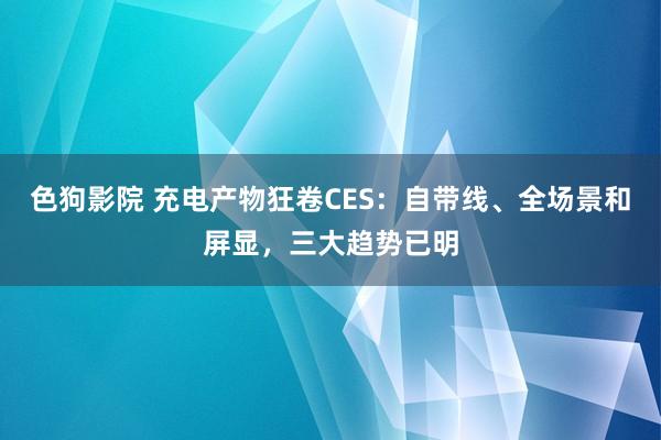 色狗影院 充电产物狂卷CES：自带线、全场景和屏显，三大趋势已明