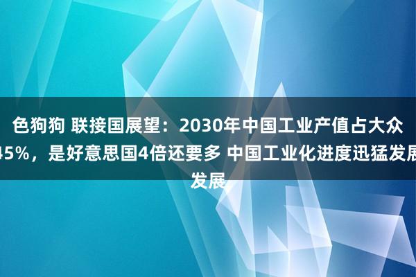 色狗狗 联接国展望：2030年中国工业产值占大众45%，是好意思国4倍还要多 中国工业化进度迅猛发展