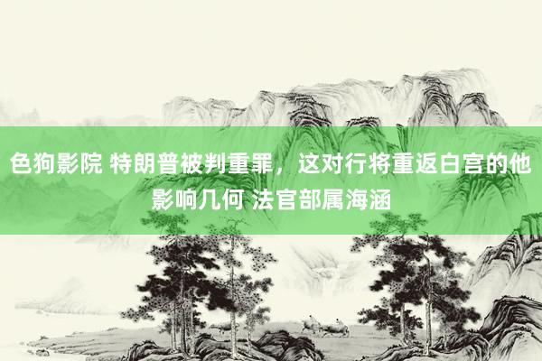 色狗影院 特朗普被判重罪，这对行将重返白宫的他影响几何 法官部属海涵