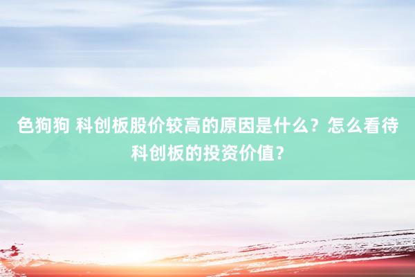 色狗狗 科创板股价较高的原因是什么？怎么看待科创板的投资价值？