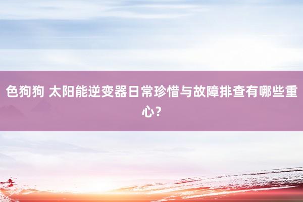 色狗狗 太阳能逆变器日常珍惜与故障排查有哪些重心？