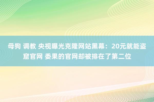 母狗 调教 央视曝光克隆网站黑幕：20元就能盗窟官网 委果的官网却被排在了第二位