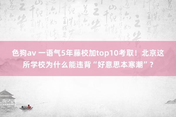 色狗av 一语气5年藤校加top10考取！北京这所学校为什么能违背“好意思本寒潮”？