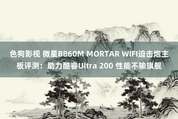 色狗影视 微星B860M MORTAR WIFI迫击炮主板评测：助力酷睿Ultra 200 性能不输旗舰