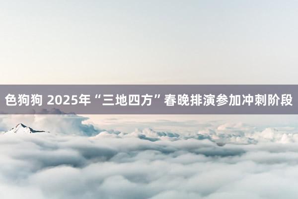 色狗狗 2025年“三地四方”春晚排演参加冲刺阶段