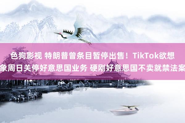 色狗影视 特朗普曾条目暂停出售！TikTok欲想象周日关停好意思国业务 硬刚好意思国不卖就禁法案