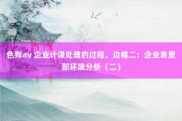 色狗av 企业计谋处理的过程，边幅二：企业表里部环境分析（二）