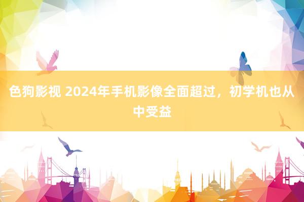 色狗影视 2024年手机影像全面超过，初学机也从中受益