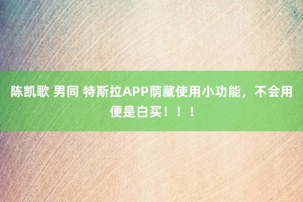 陈凯歌 男同 特斯拉APP荫藏使用小功能，不会用便是白买！！！